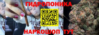 ALPHA PVP Аргун