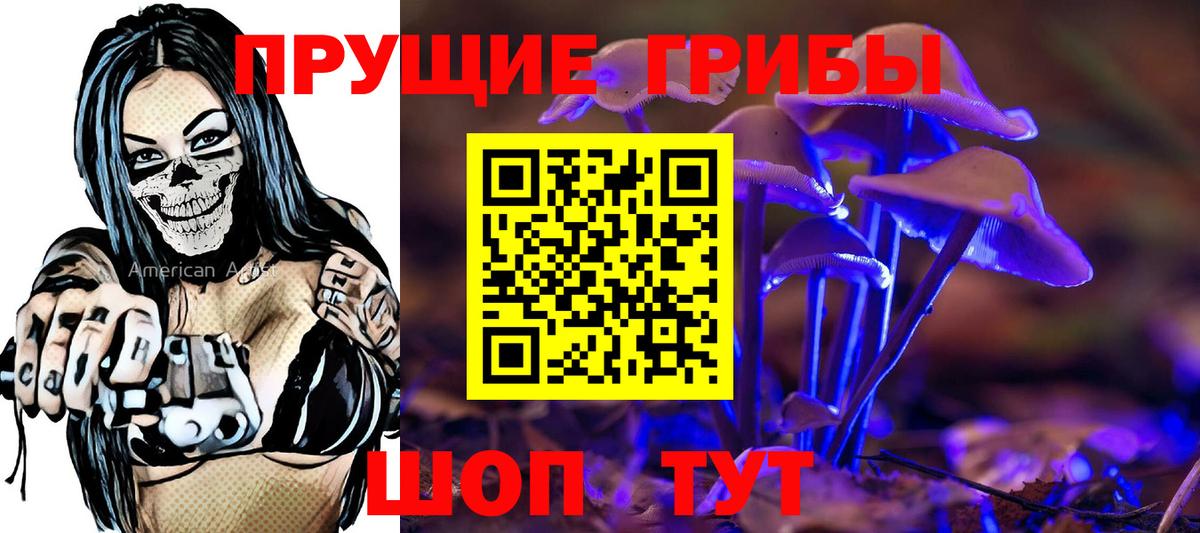 Галлюциногенные грибы Psilocybe  Вход с VPN  Галлюциногенные грибы Psilocybine cubensis  Выборг 